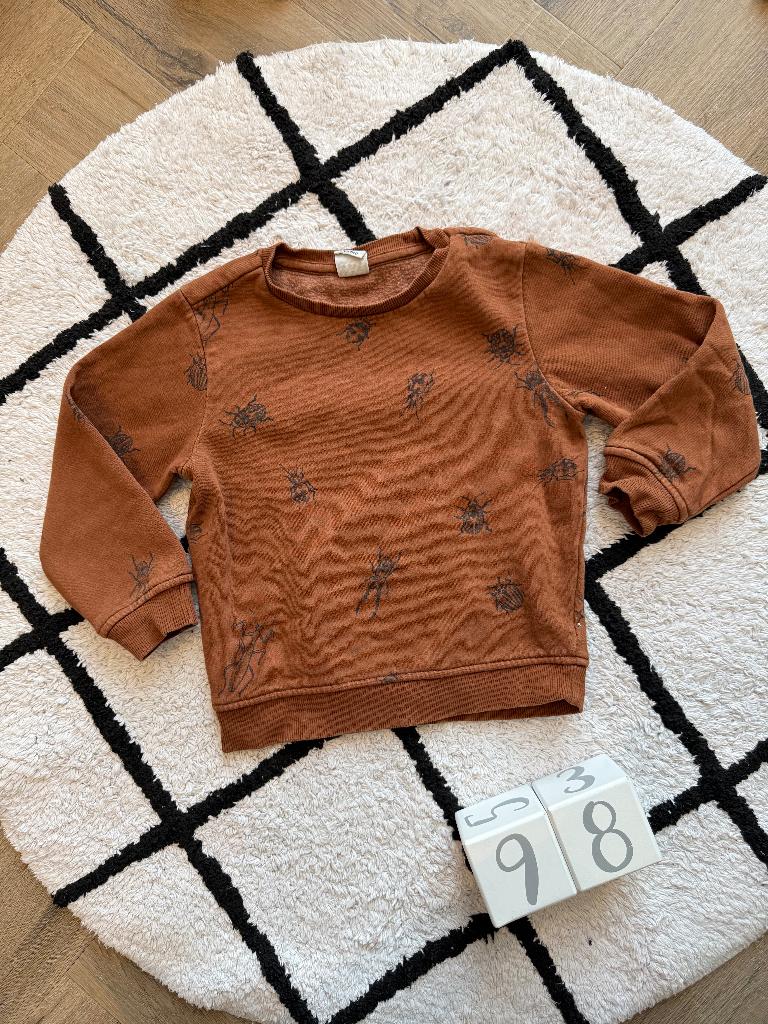 Heel goed bruin Hema sweater trui insect print hoodie 98 104, Jongen of Meisje, Trui of Vest, Ophalen of Verzenden, Zo goed als nieuw