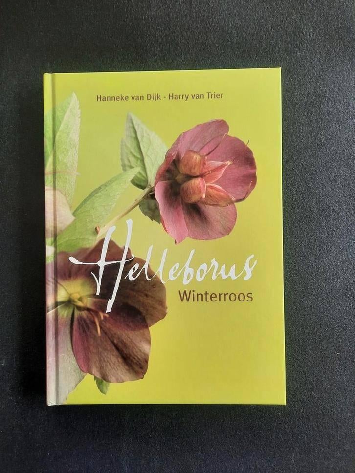 Helleborus. Hanneke van Dijk - Harry van Trier, Boeken, Ophalen of Verzenden, Zo goed als nieuw, Van Dijk & van Trier, Tuinieren en Tuinplanten