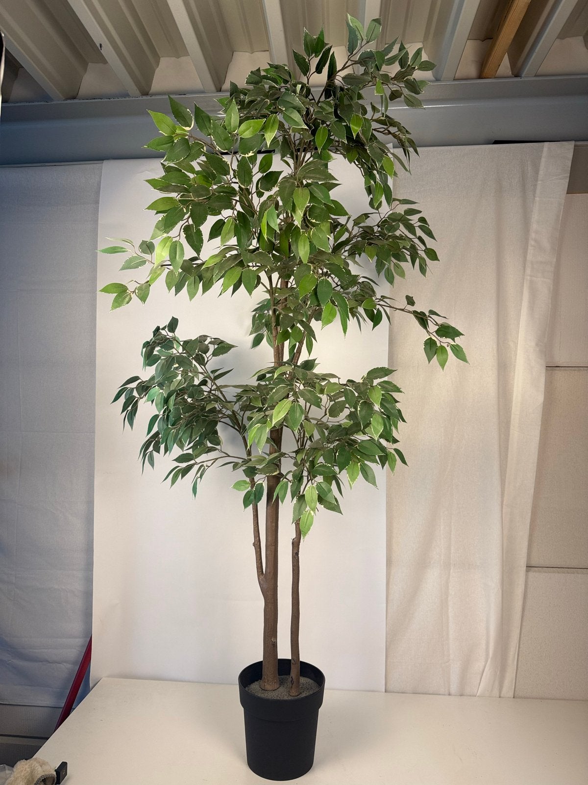 IKEA FEJKA Kunstplant Ficus 1947 - 180 cm, Binnen, Groen, Kunstplant, Ophalen of Verzenden