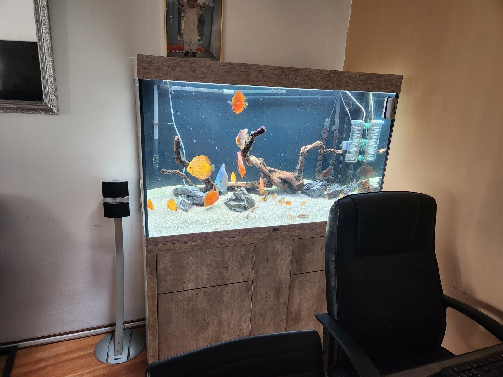 Aqarium Atlantic, Dieren en Toebehoren, Ophalen of Verzenden, Zo goed als nieuw, Gevuld zoetwateraquarium, Aquatlantis