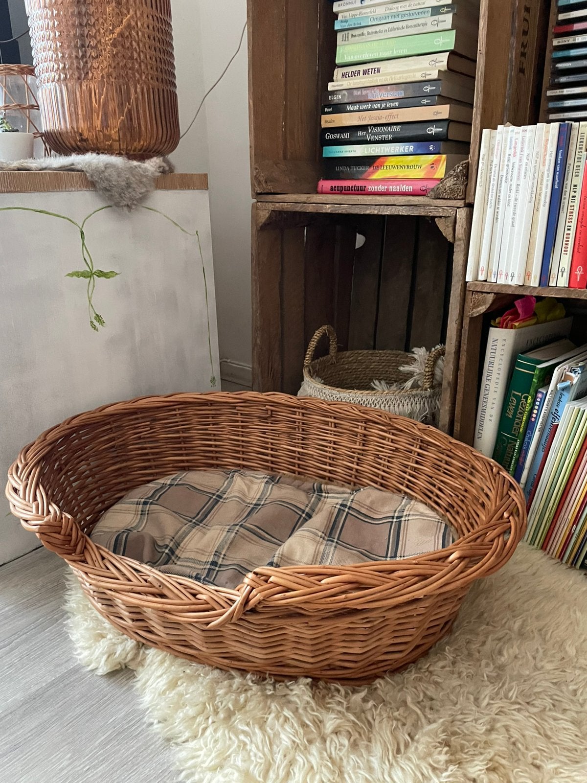 Rotan Honden/ kattenmandje, Dieren en Toebehoren, Hondenmanden, Ophalen, Gebruikt, Riet