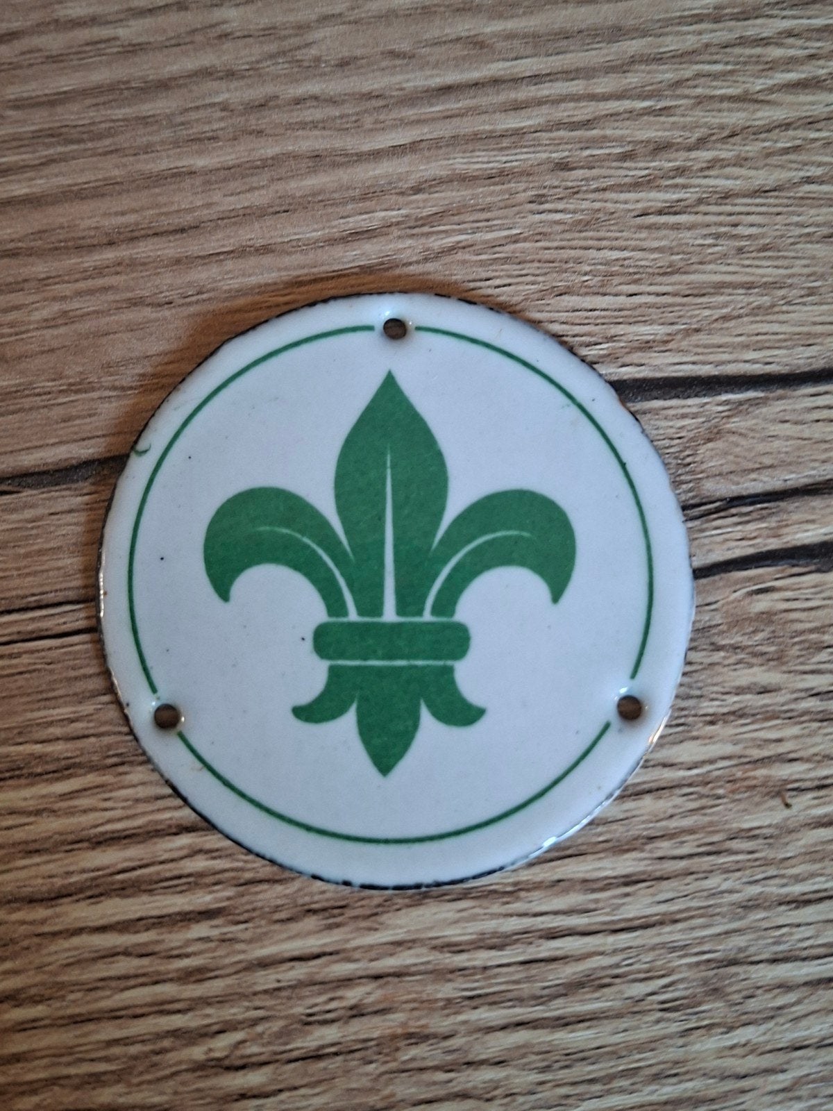 Vintage Emaille Scouting Deurpost Embleem Jaren '50/'60, Ophalen of Verzenden