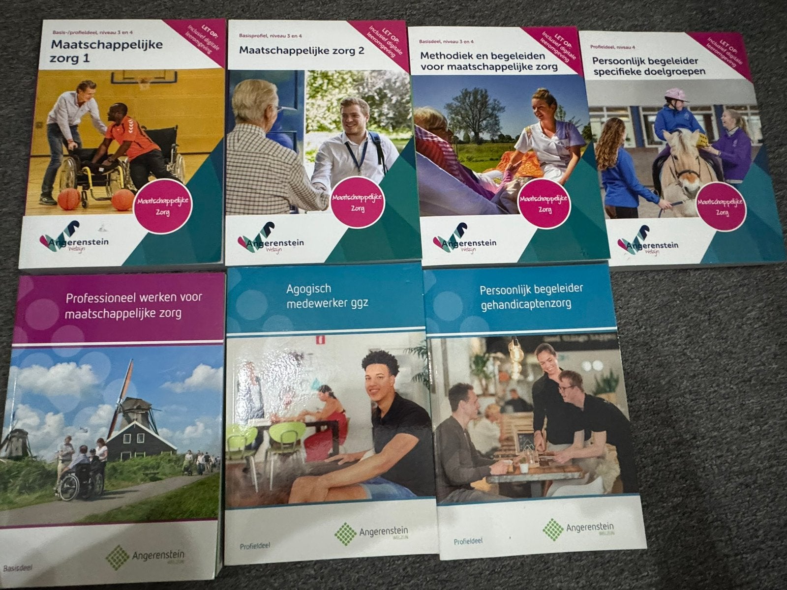Schoolboeken Maatschappelijke zorg / Persoonlijk begeleider, Ophalen, Nieuw, Overige niveaus, Overige vakken