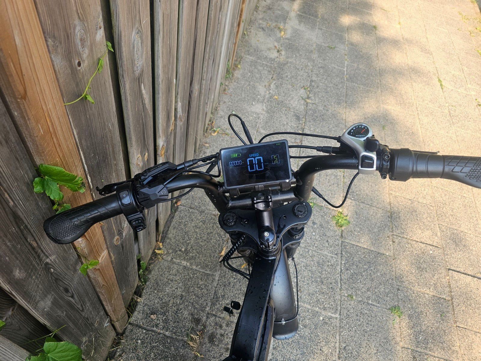 V20 Fatbike met nieuwe oplader, 59 cm of meer, Ophalen, Zo goed als nieuw, Overige merken