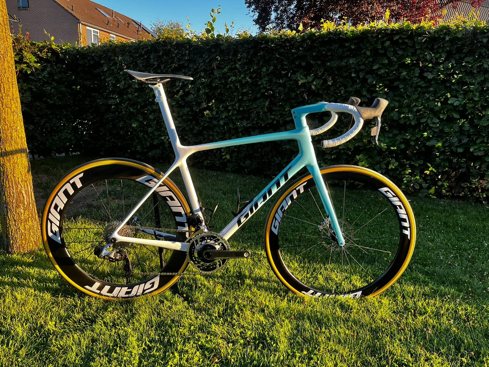 Giant TCR advanced SL (custom)- Sram Red 12speed (NIEUW), Ophalen, 28 inch, Carbon, Heren