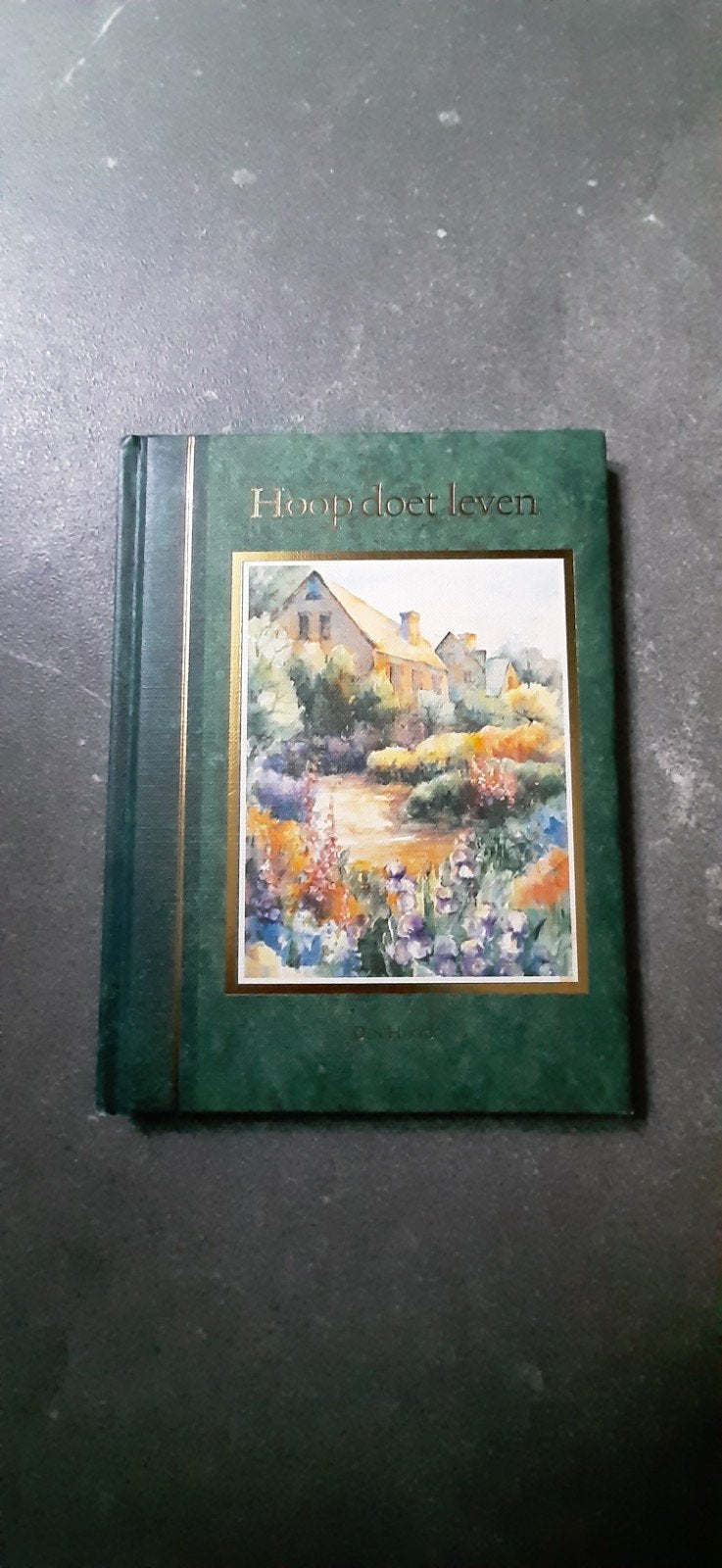 Hoop doet leven - Inspirerend boek, Boeken, Ophalen of Verzenden, Zo goed als nieuw, Onbekend, Nederland
