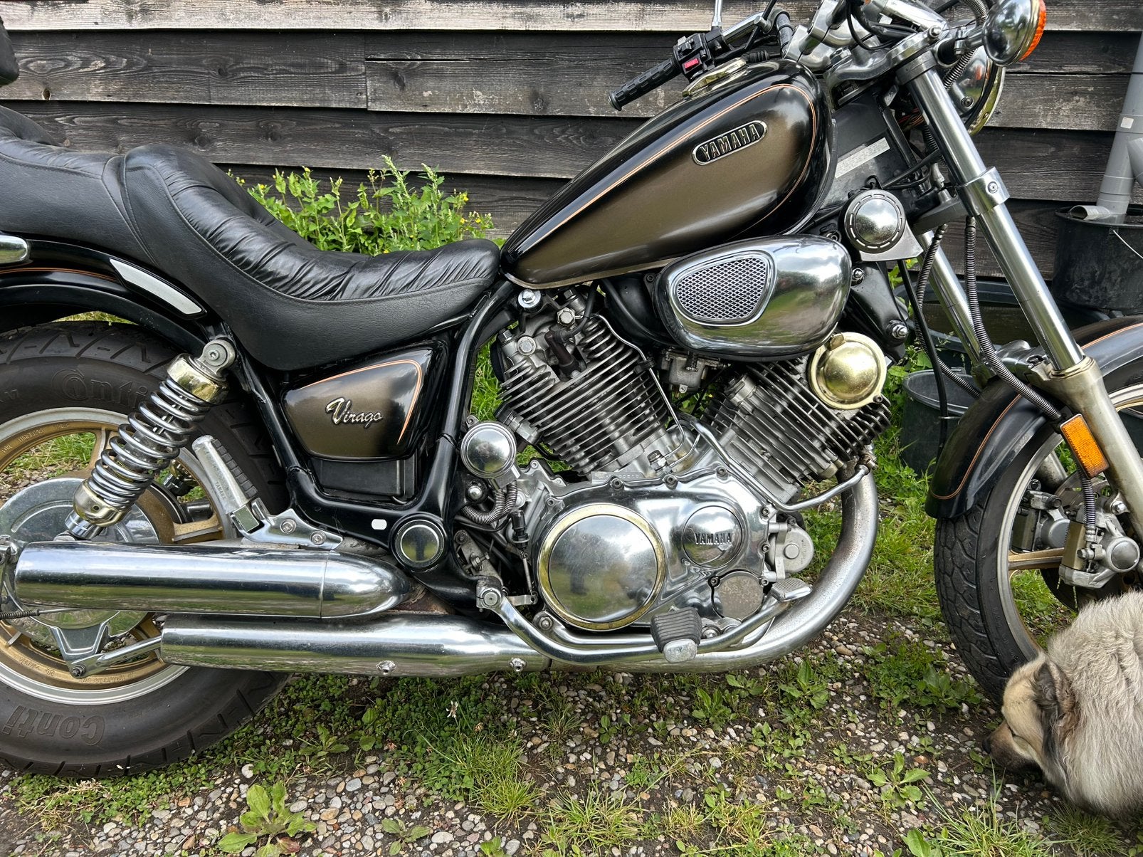 Yamaha Virago XV1100, Motoren, Motoren | Yamaha, Cardan-aandrijving, Occasion, Particulier, Meer dan 35 kW