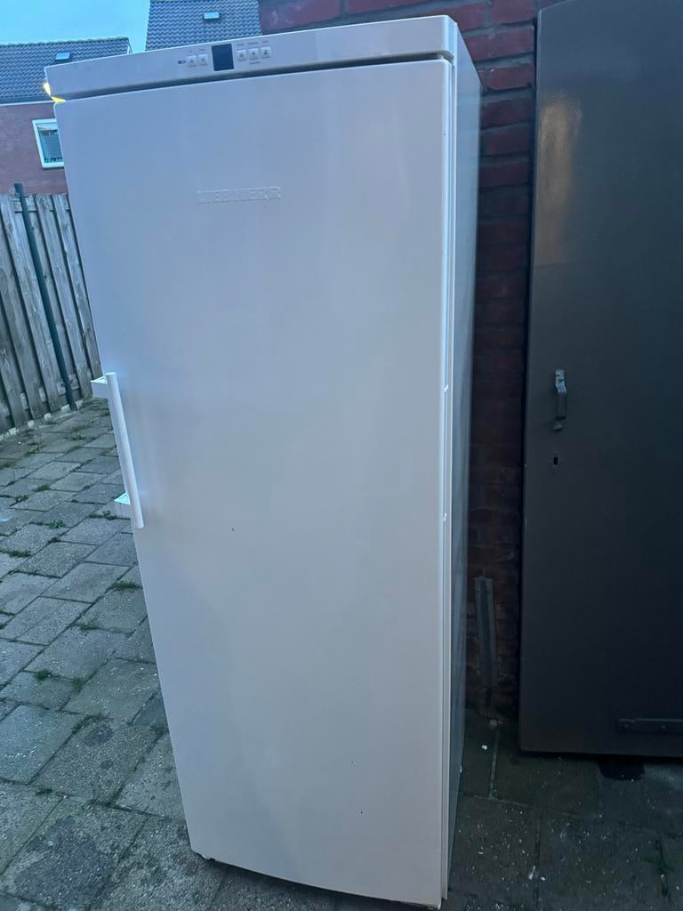 Defect koelt niet. Liebherr NoFrost Diepvrieskast, Witgoed en Apparatuur, Vrieskast, Minder dan 60 cm, Zo goed als nieuw, Vrijstaand
