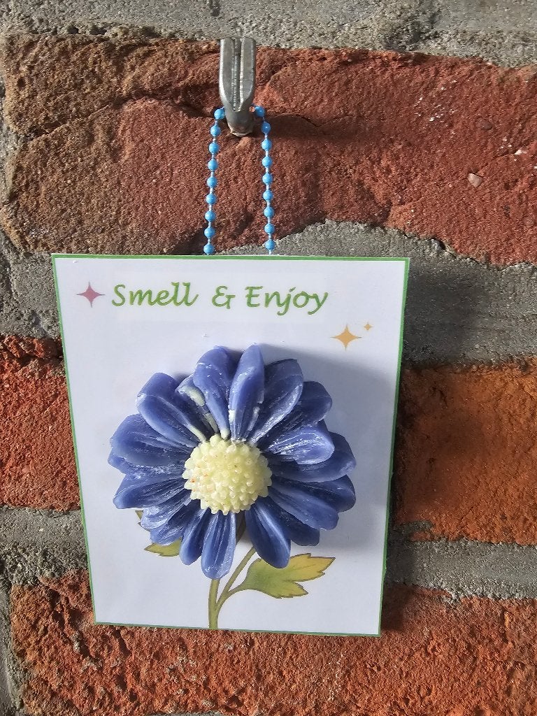 Amberblokjes  geurkaartje/hanger, Overige materialen, Blauw, Nieuw, Ophalen of Verzenden
