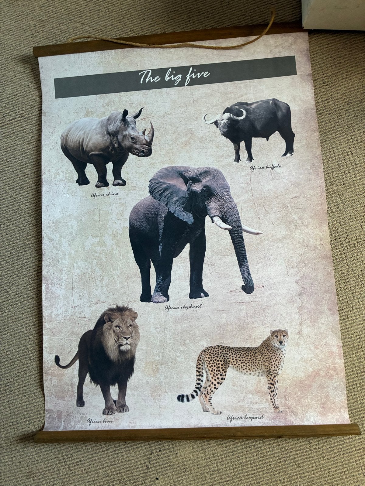 Poster 'The Big Five' - Afrikaanse Dieren, Ophalen of Verzenden, Zo goed als nieuw, Foto of Poster, 75 – 100