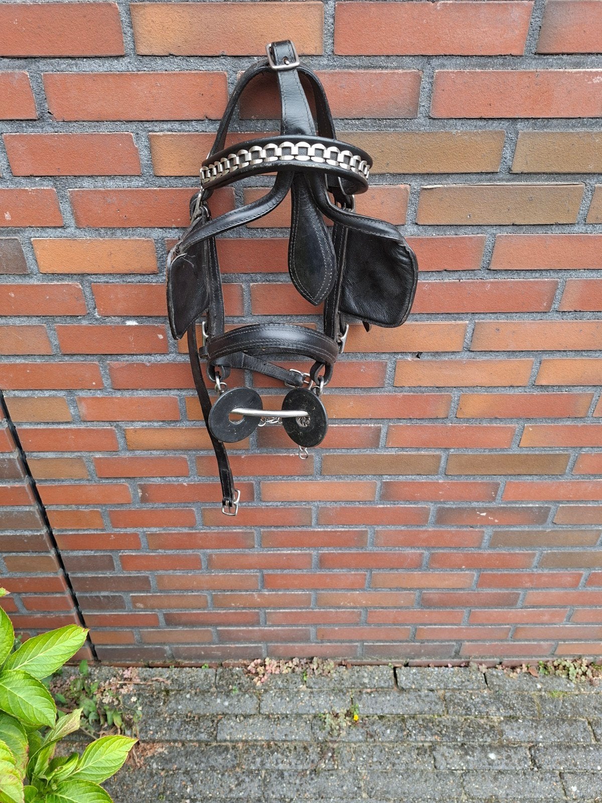 Men Hoofdstel, Dieren en Toebehoren, Ophalen, Hoofdstel, Pony