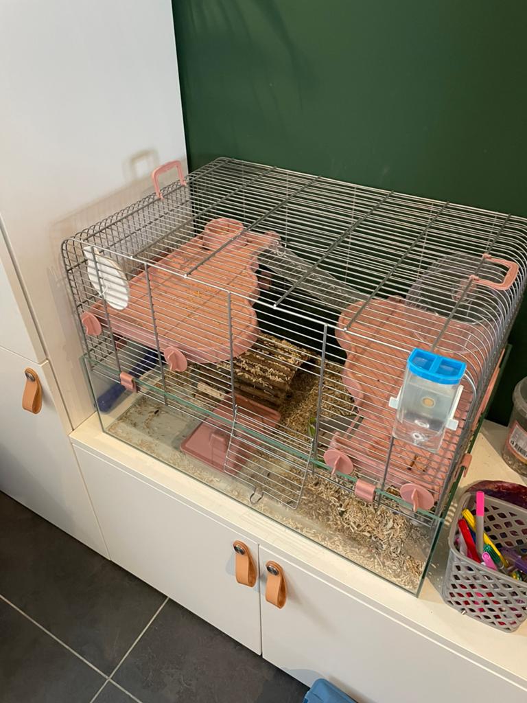 Kooi, Dieren en Toebehoren, Knaagdieren en Konijnen | Hokken en Kooien, Ophalen, Kooi, Minder dan 60 cm