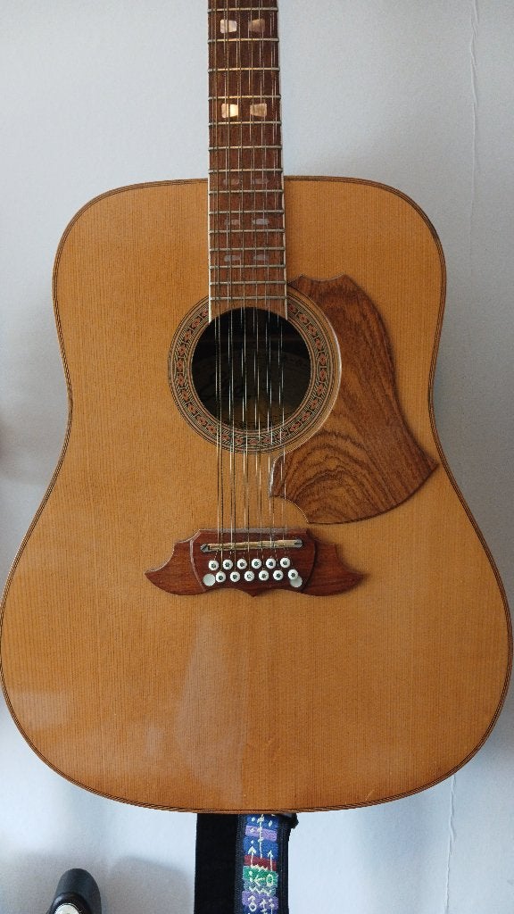 EKO El Dorado 12 (1970s), Ophalen, Gebruikt, Western- of Steelstringgitaar, 12-snarig