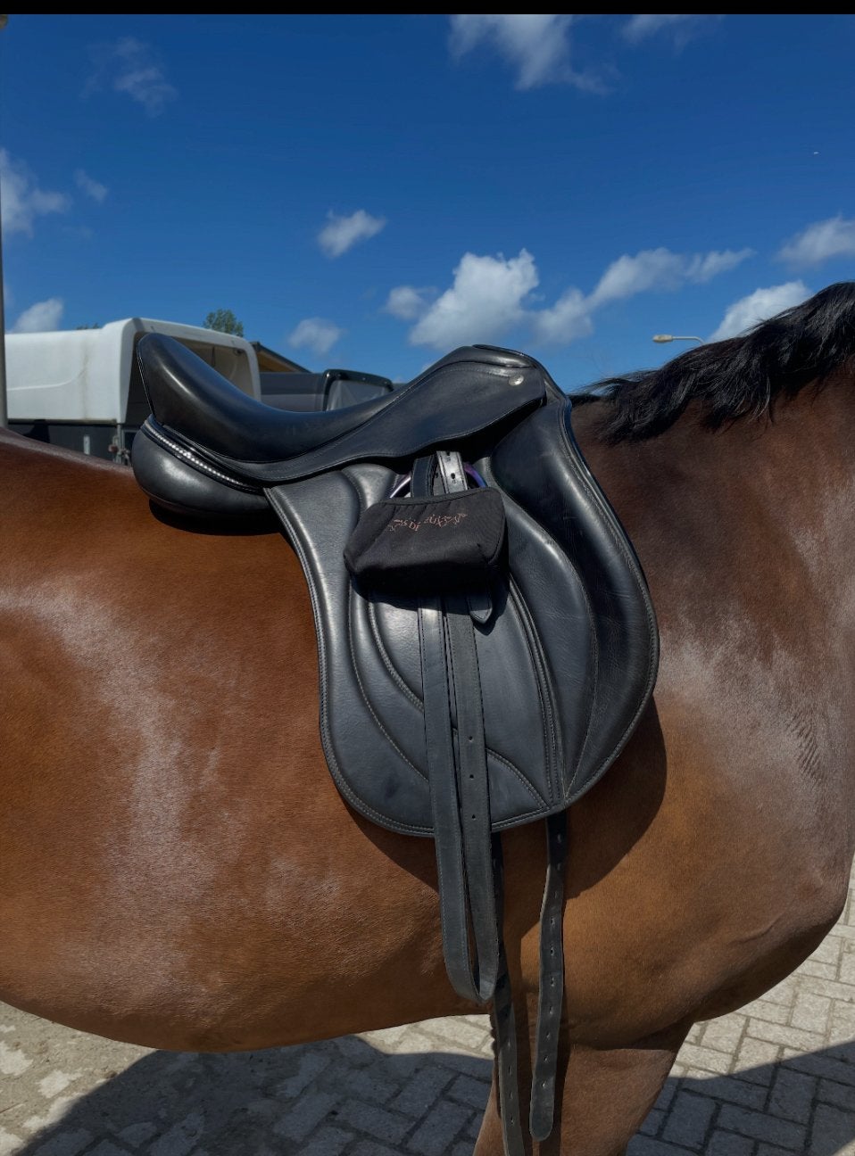 Dressuurzadel Macrider Evolution 17,5 inch, Ophalen of Verzenden, Zo goed als nieuw, Dressuur