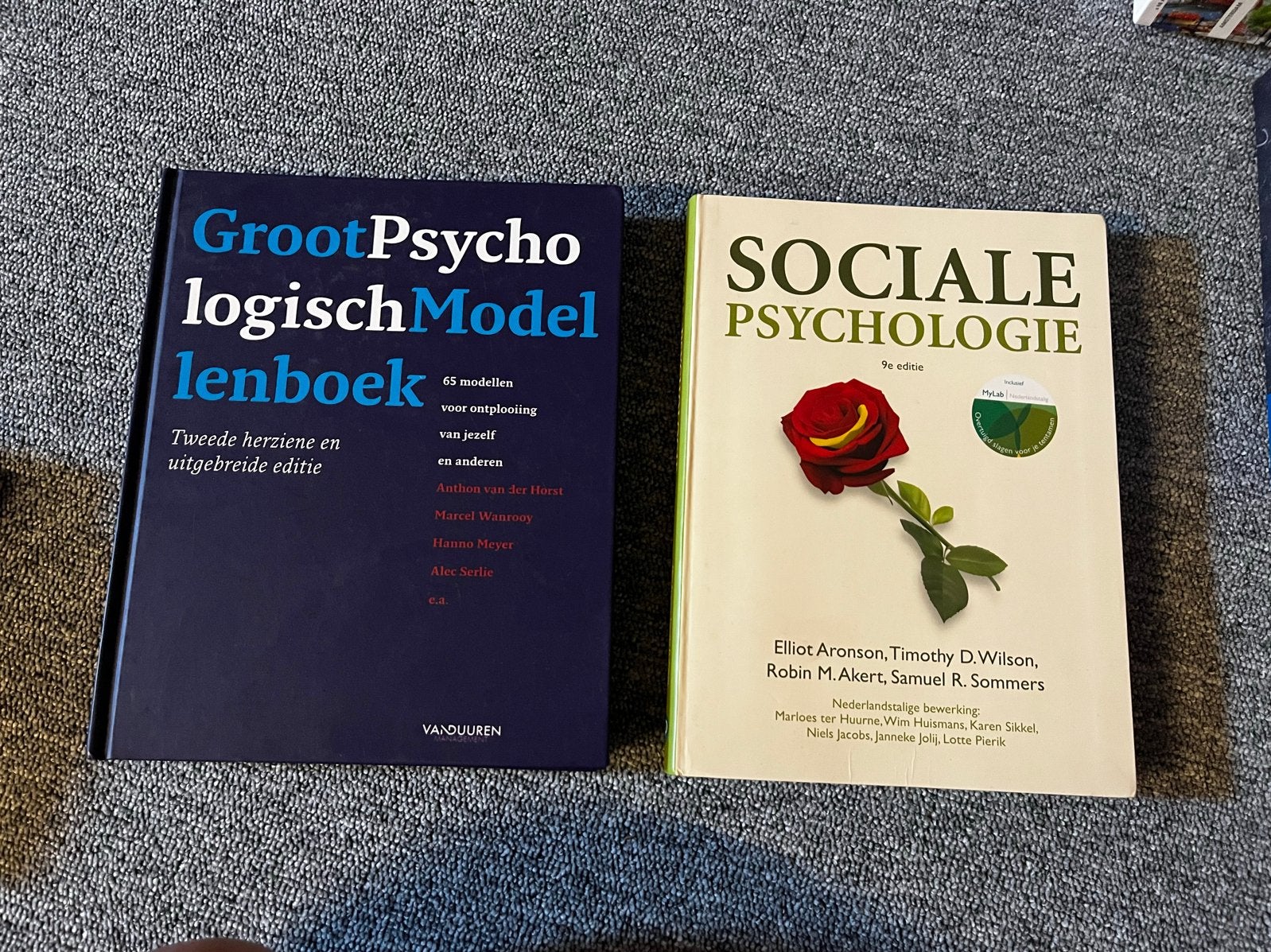 Groot Psychologisch Modellenboek & Sociale Psychologie, Ophalen of Verzenden, Gamma, Gelezen, HBO