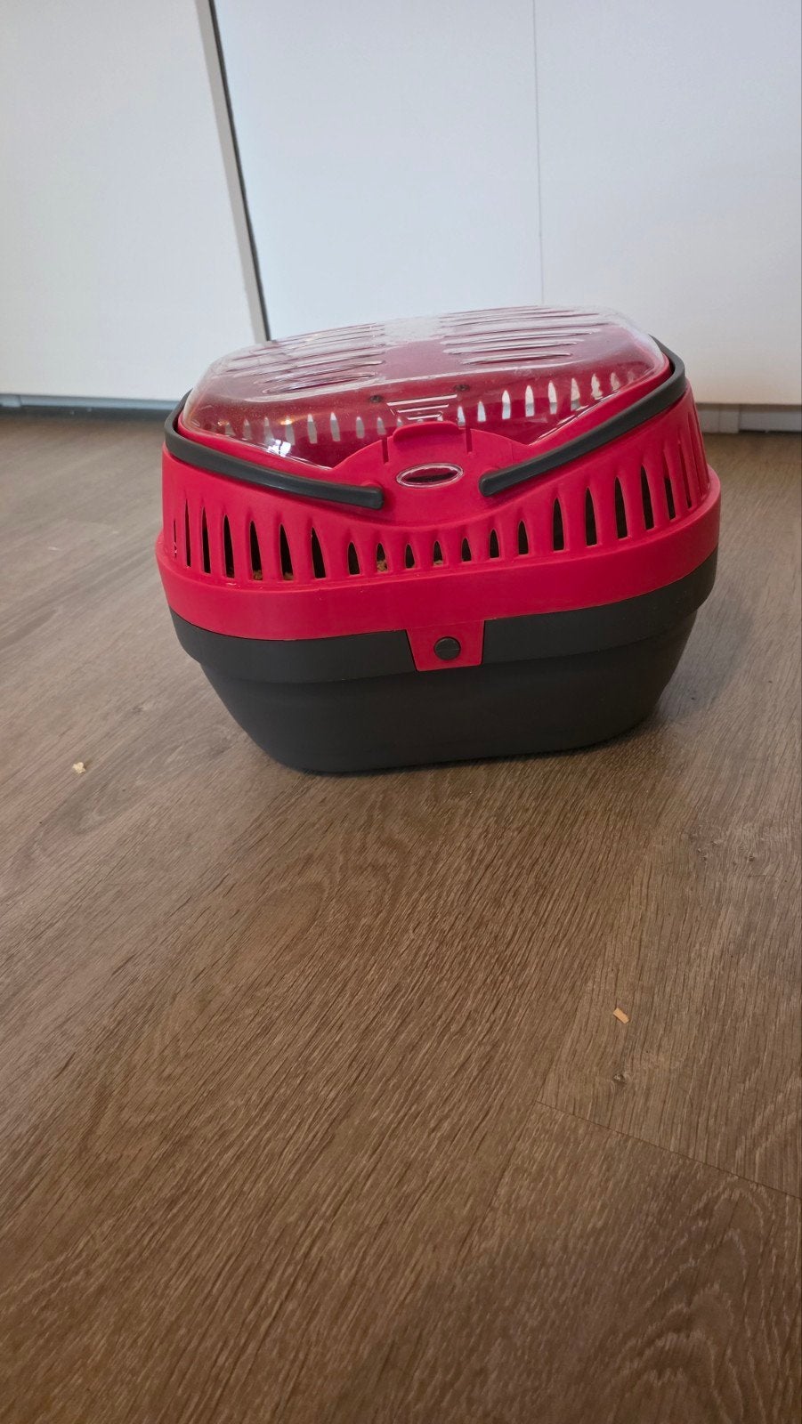 Reismandje hamster/knaagdier (grote uitvoering), Ophalen, Zo goed als nieuw