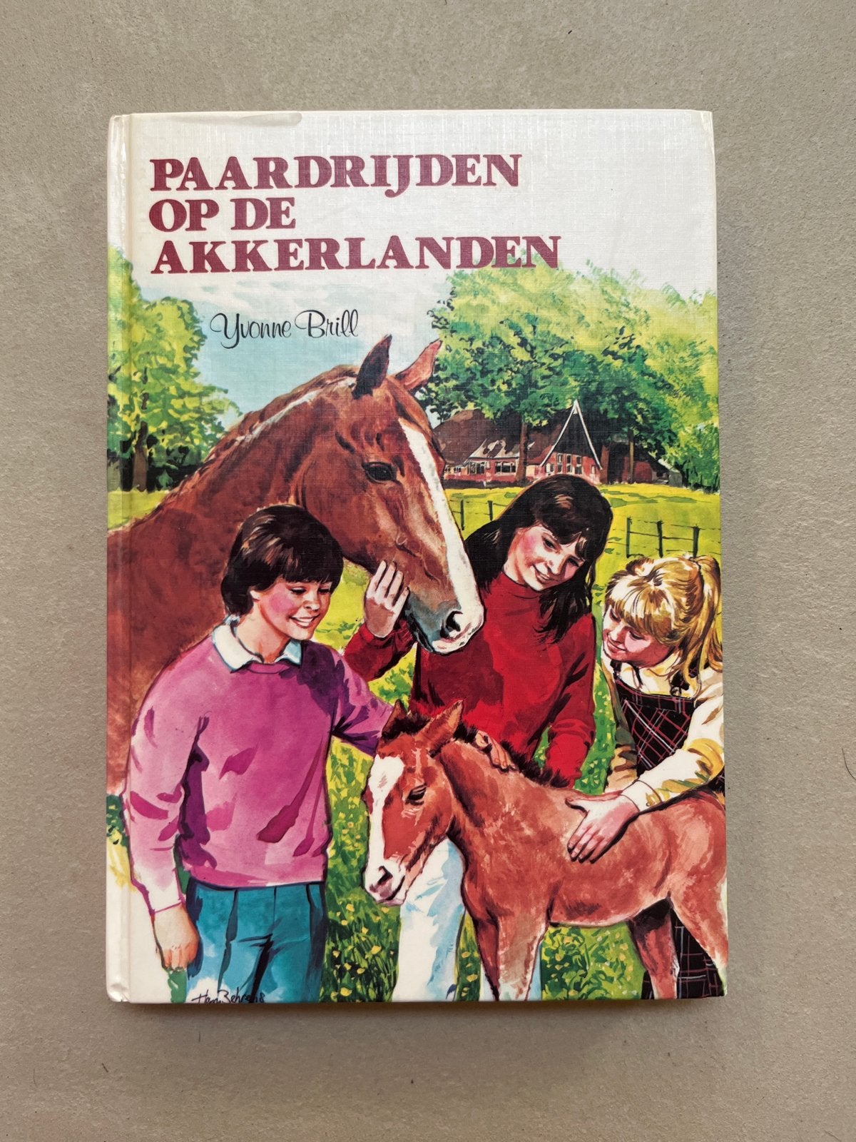 Paardrijden op de Akkerlanden - Yvonne Brill (Jeugdserie), Ophalen of Verzenden, Gelezen, Fictie algemeen