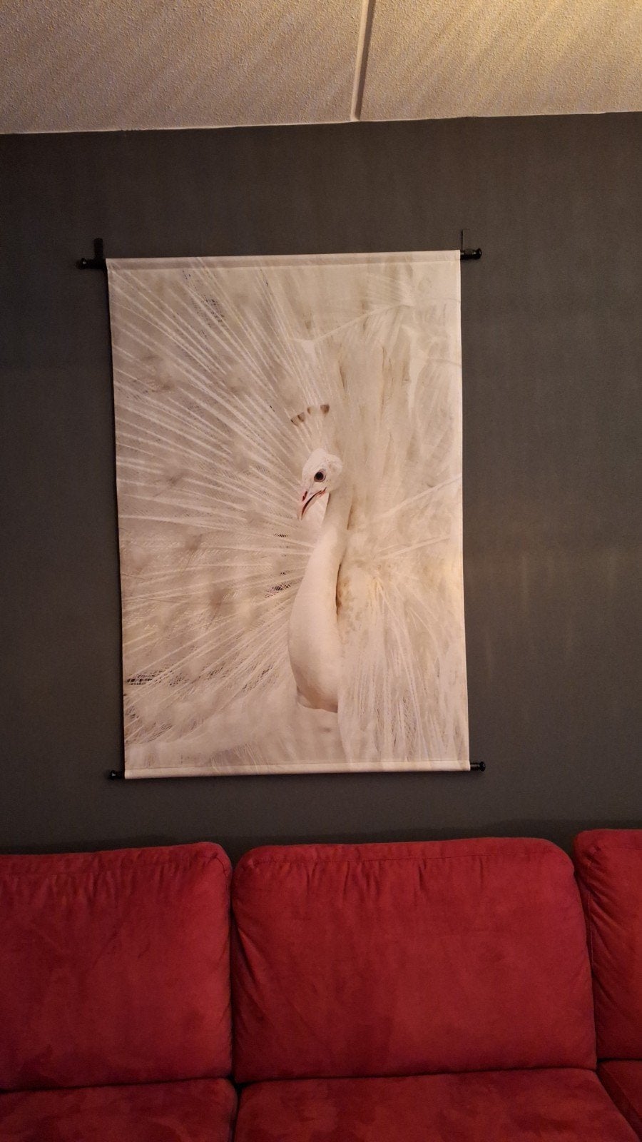 Wandkleed pauw wit - Incl. roede en wandhaken, Ophalen
