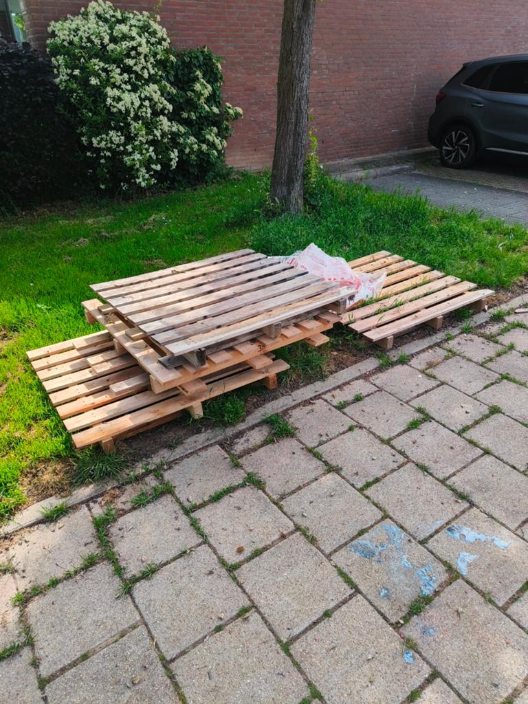 Pallets, Ophalen, Overige houtsoorten, Minder dan 200 cm, Pallet