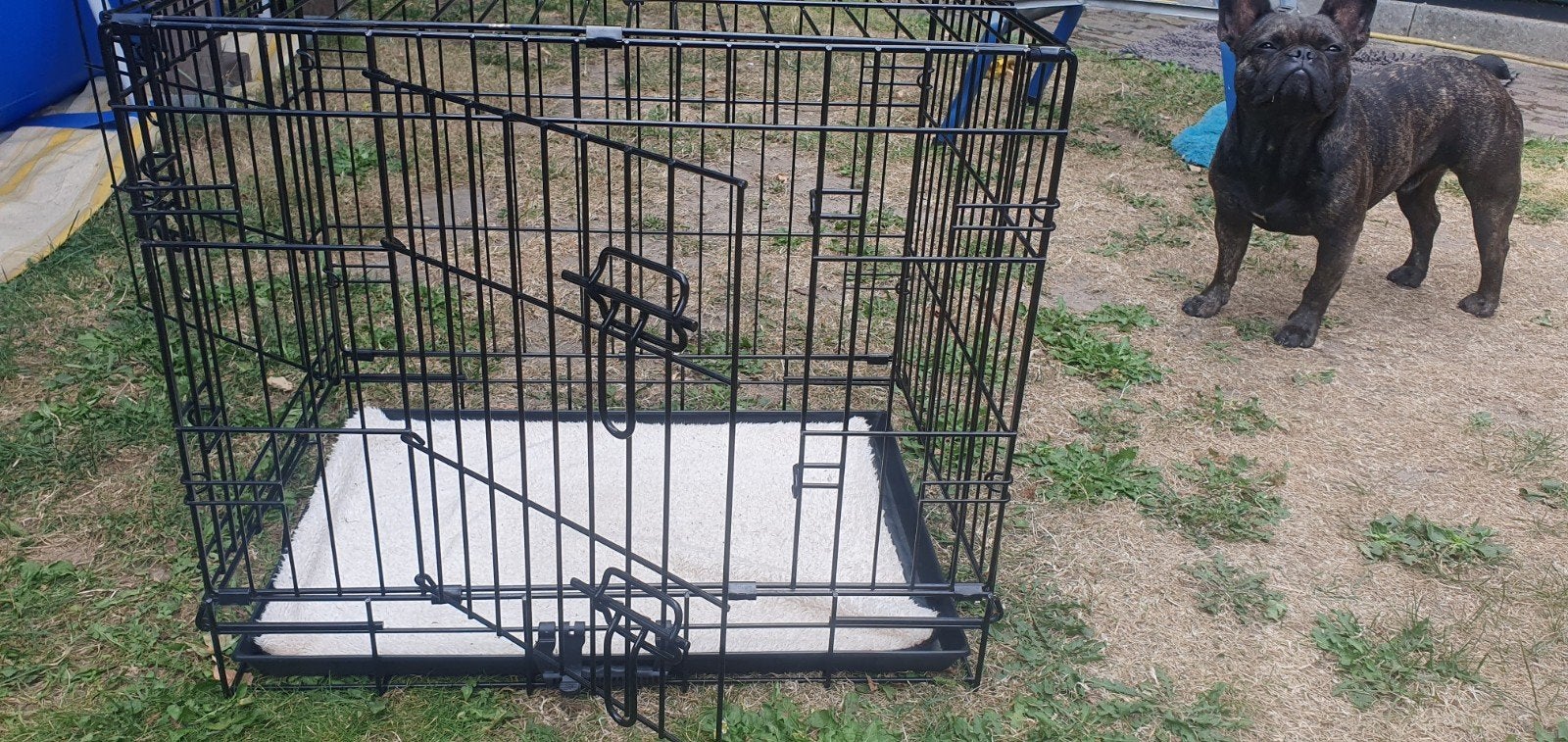 Bench stevig zwart kleine hond, Ophalen of Verzenden