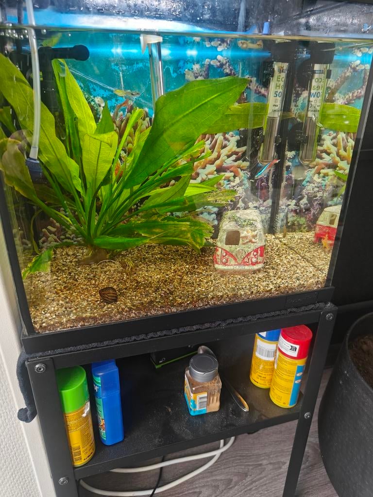 Aquarium, Ophalen, Gevuld zoetwateraquarium