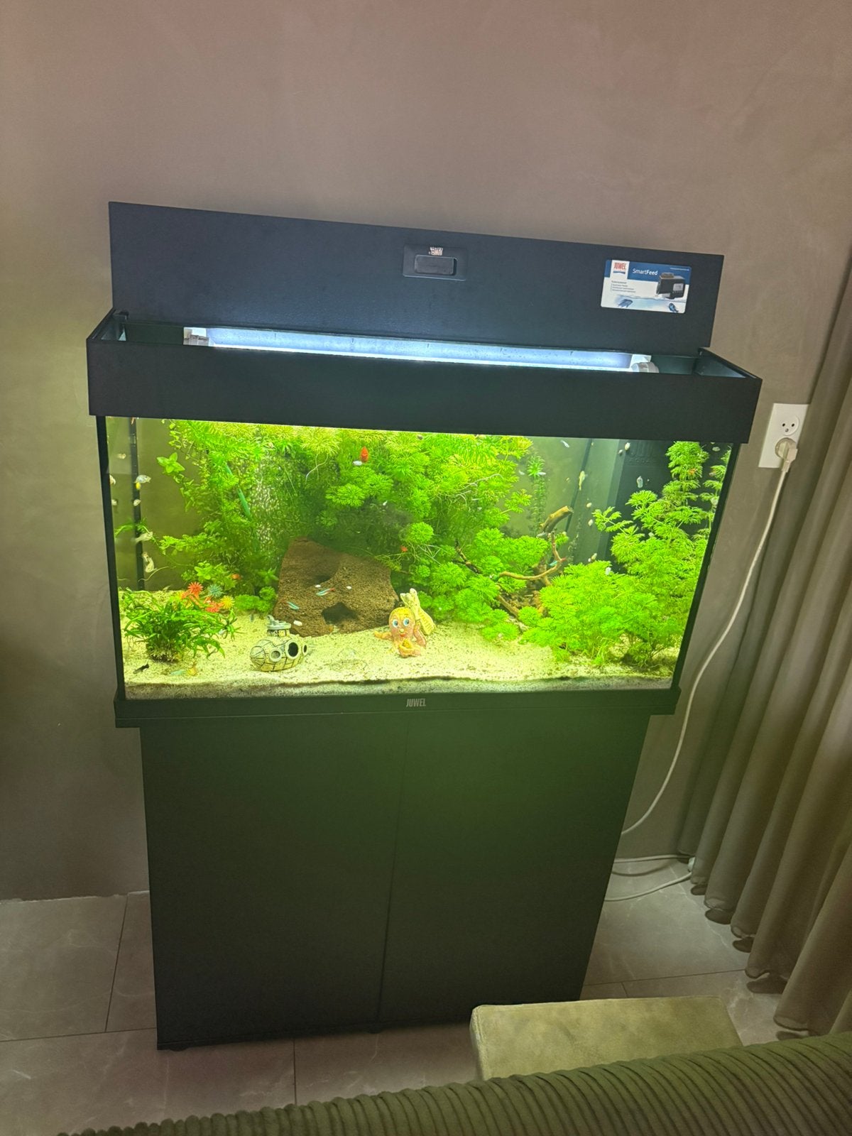 Compleet aquarium met onderkast –, Dieren en Toebehoren, Ophalen, Inclusief toebehoren, Zo goed als nieuw, Gevuld zoetwateraquarium