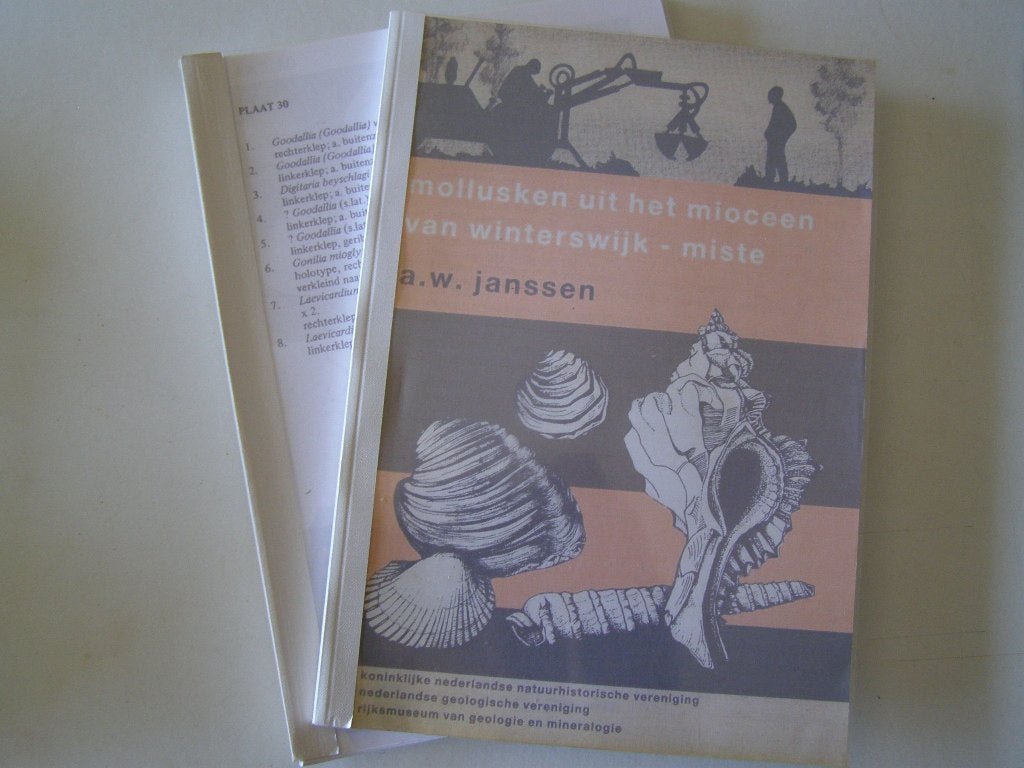 Mollusken uit het Mioceen van Winterswijk-Miste, Verzamelen, Ophalen of Verzenden, Fossiel