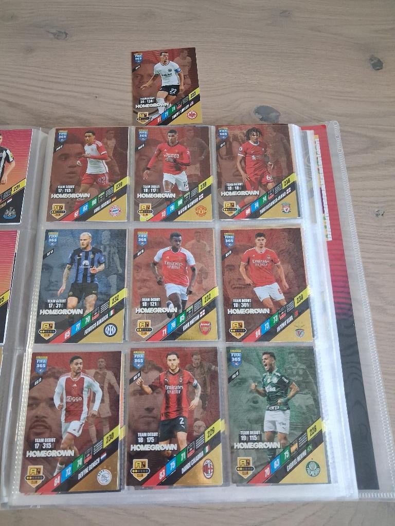 Panini 2024 homegrown, Ophalen of Verzenden, Zo goed als nieuw, Plaatje
