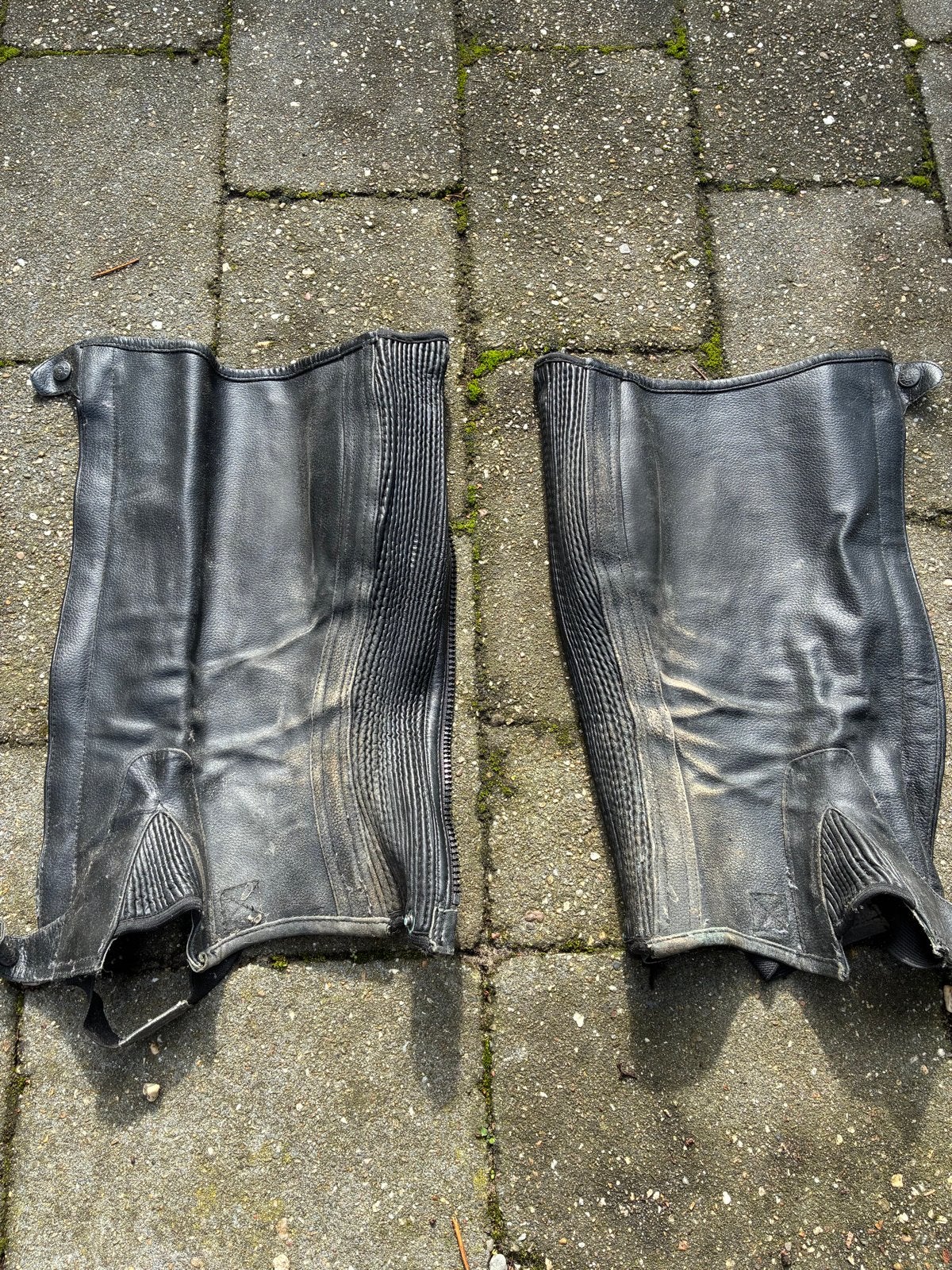 Lederen chaps maat XL, Dieren en Toebehoren, Ophalen of Verzenden