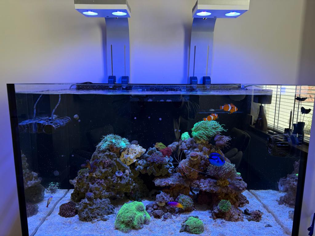 2x ai hydra 32hd met beugel, Ophalen of Verzenden, Gebruikt, Verlichting of Verwarming