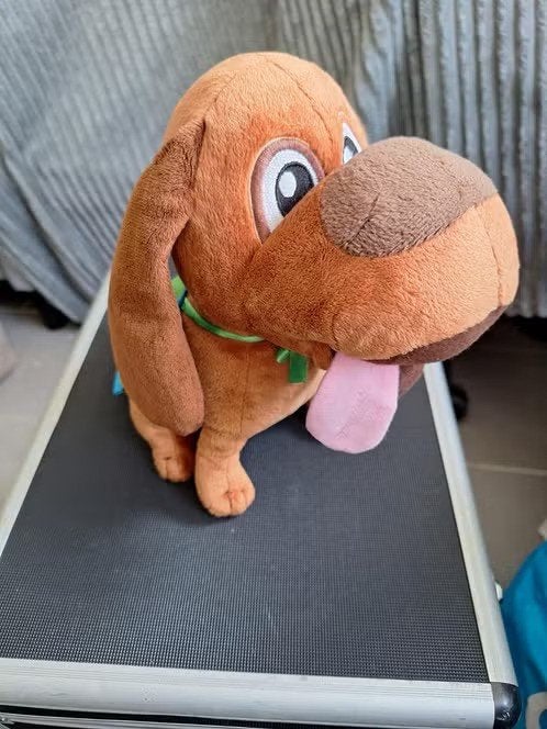 Knuffel hond met groene cape h, Overige merken, Onbekend, Zo goed als nieuw, RCN vakantieparken