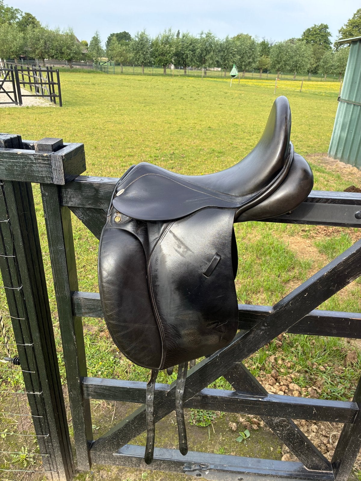 Kentaur Penelopa Dressuurzadel 16,5 inch, Dieren en Toebehoren, Paarden en Pony's | Zadels, Ophalen of Verzenden, Gebruikt, Dressuur