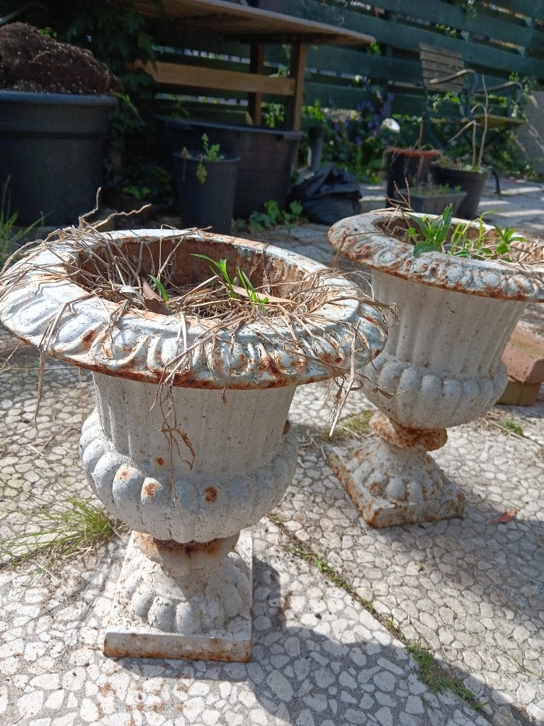 Brocante gietijzeren tuinvaze, Tuin en Terras, Ophalen, Gebruikt