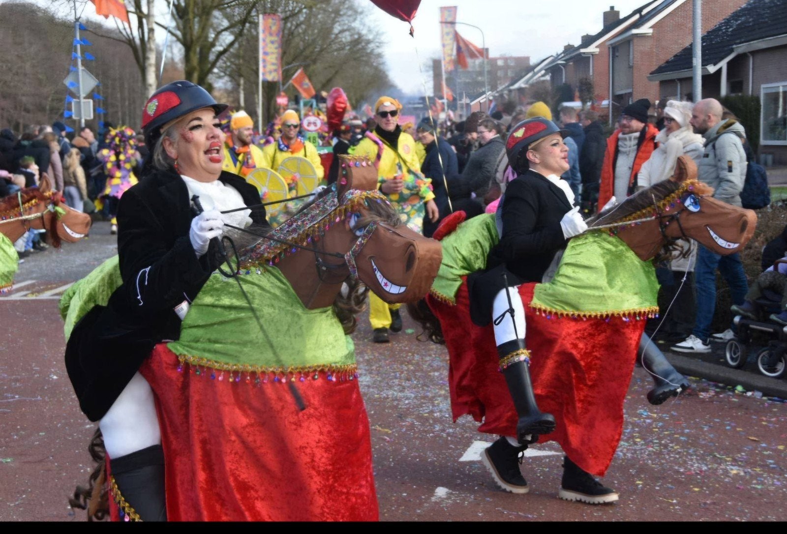 Carnaval paradepaardjes loopgroep 14 personen, Kleding | Dames, Carnavalskleding en Feestkleding, Carnaval, Ophalen