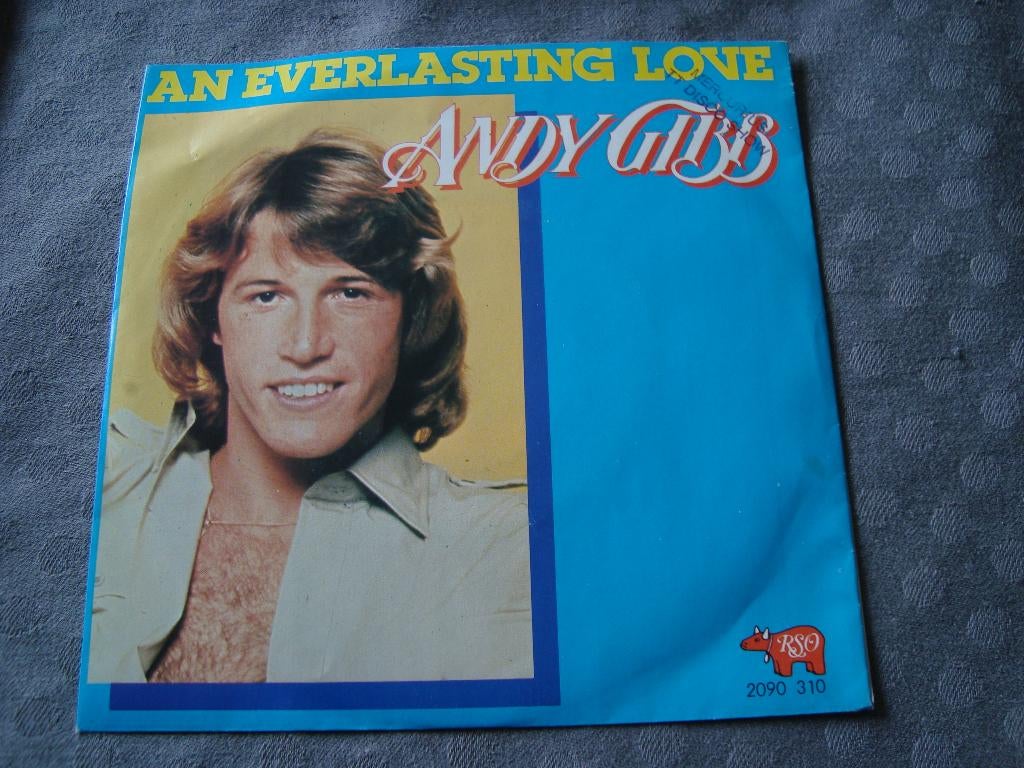 Andy gibb - an everlasting love, Ophalen of Verzenden, Zo goed als nieuw, Pop