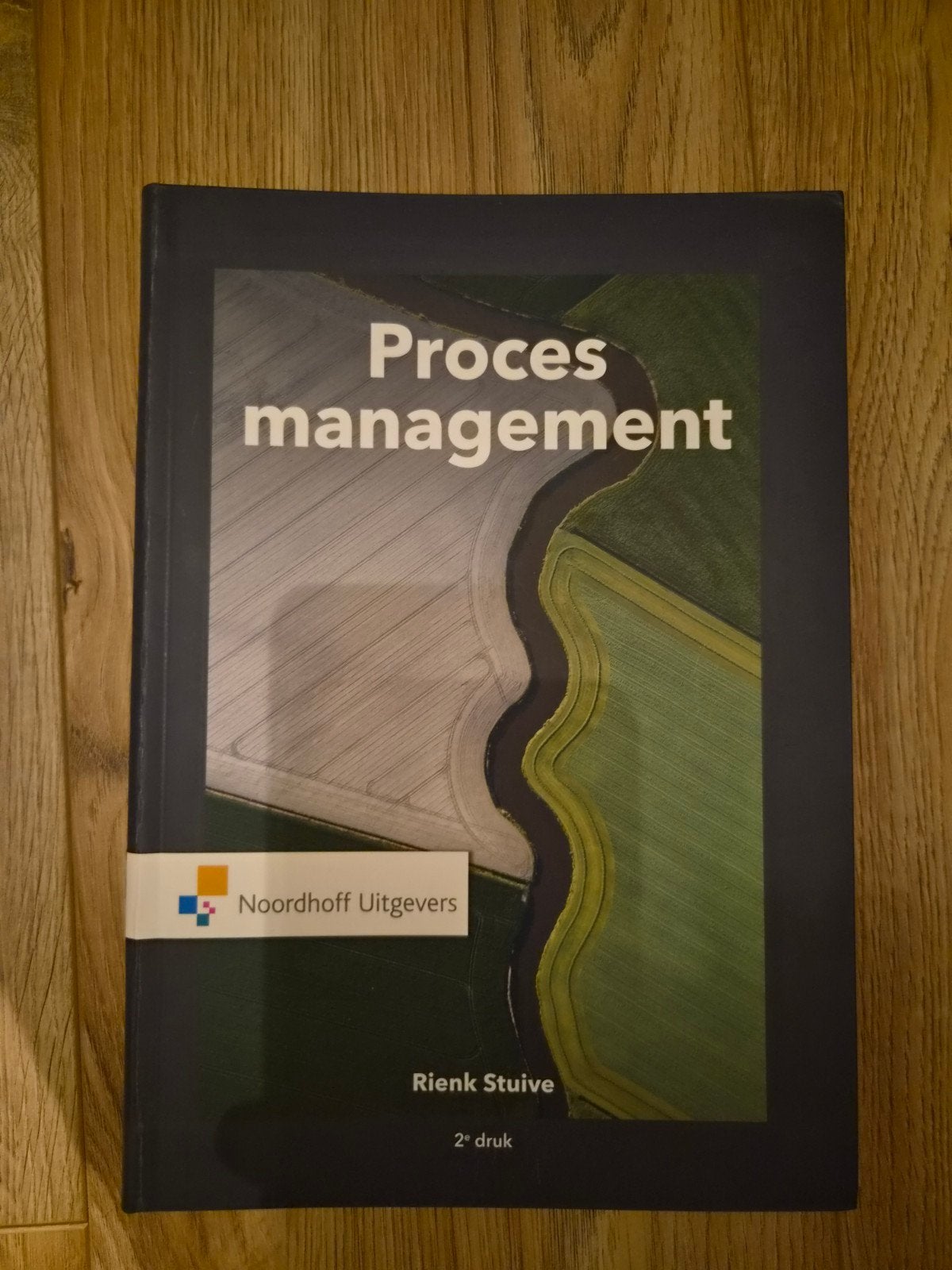 Rienk Stuive - Procesmanagement, Sociale wetenschap, Rienk Stuive, Ophalen of Verzenden, Zo goed als nieuw