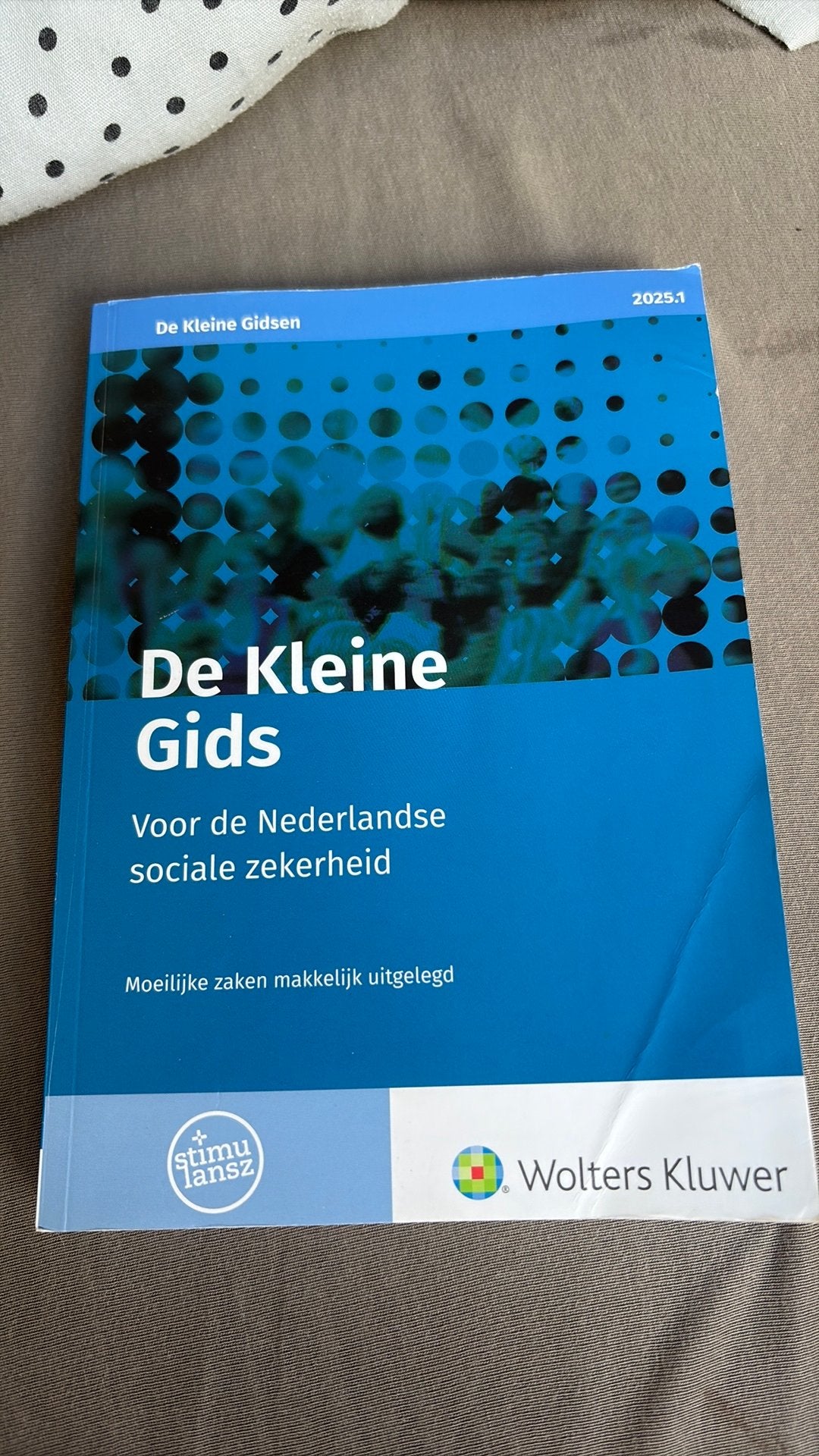 Kleine gids voor de Sociale Zekerheid 2025.1, Boeken, Ophalen of Verzenden, Alpha, Gelezen, MBO