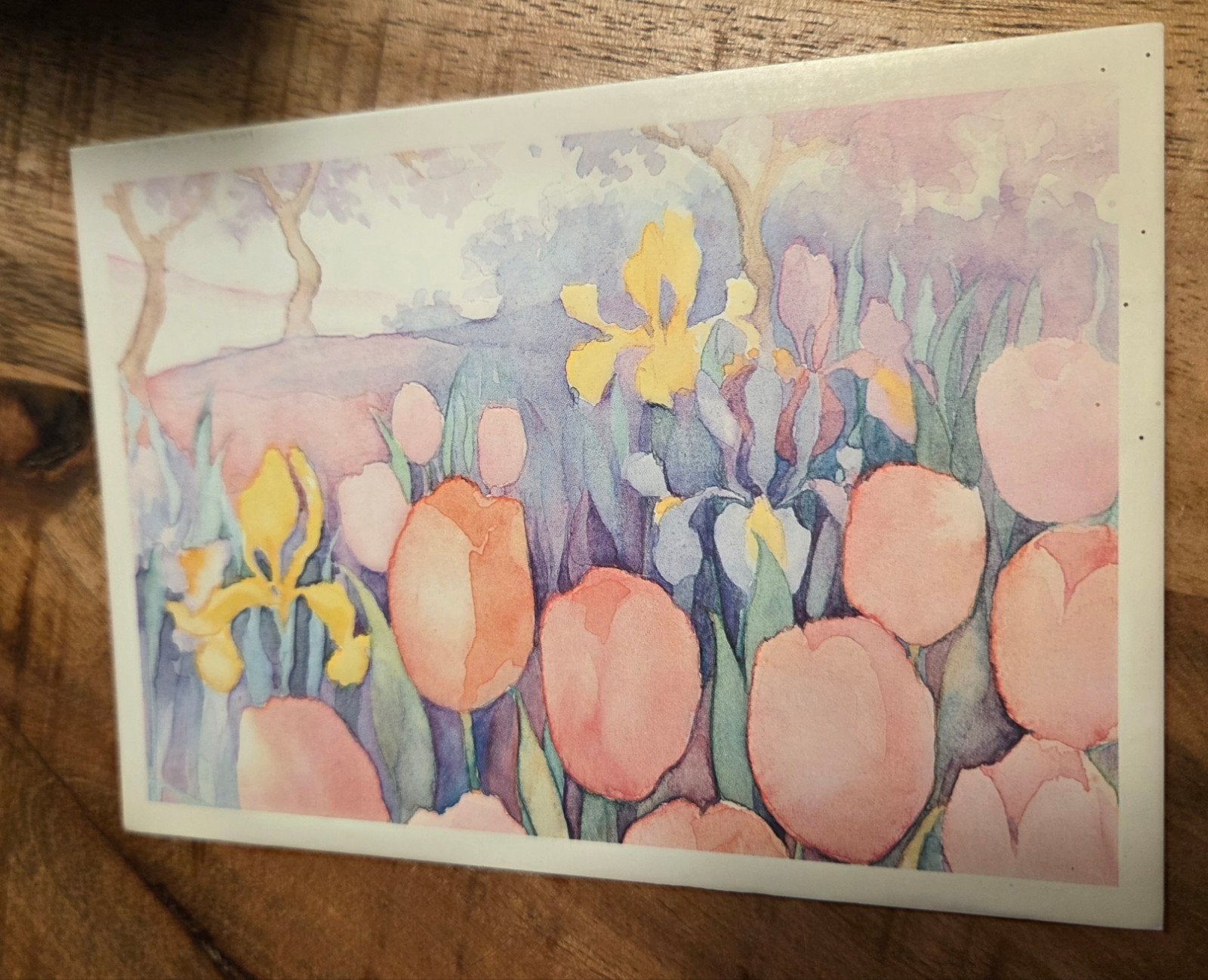 Ansichtkaart met bloemen, Verzenden, 1980 tot heden, Gelopen, Natuur