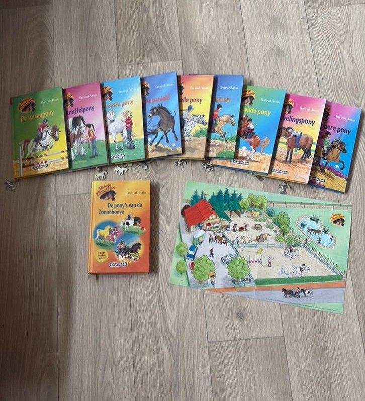 De gehele boeken serie Manege de Zonnehoeve, Boeken, Ophalen of Verzenden, Zo goed als nieuw, Fictie algemeen