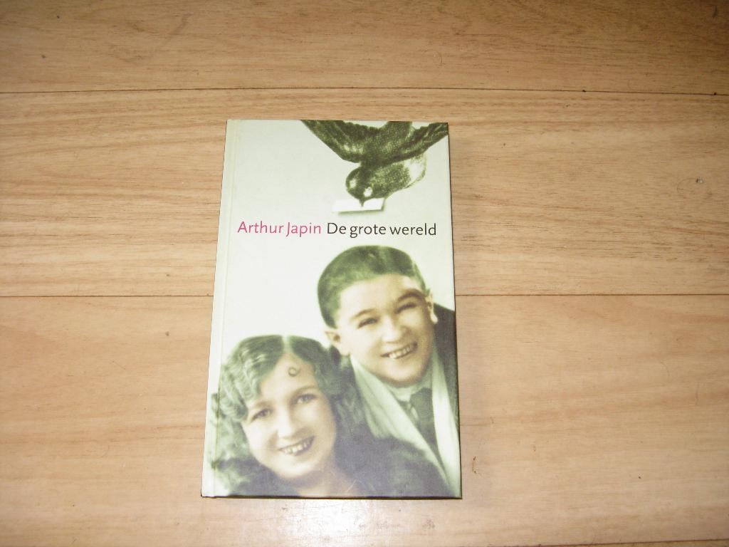Arthur Japin - De grote wereld (2446), Boeken, Ophalen of Verzenden, Gelezen