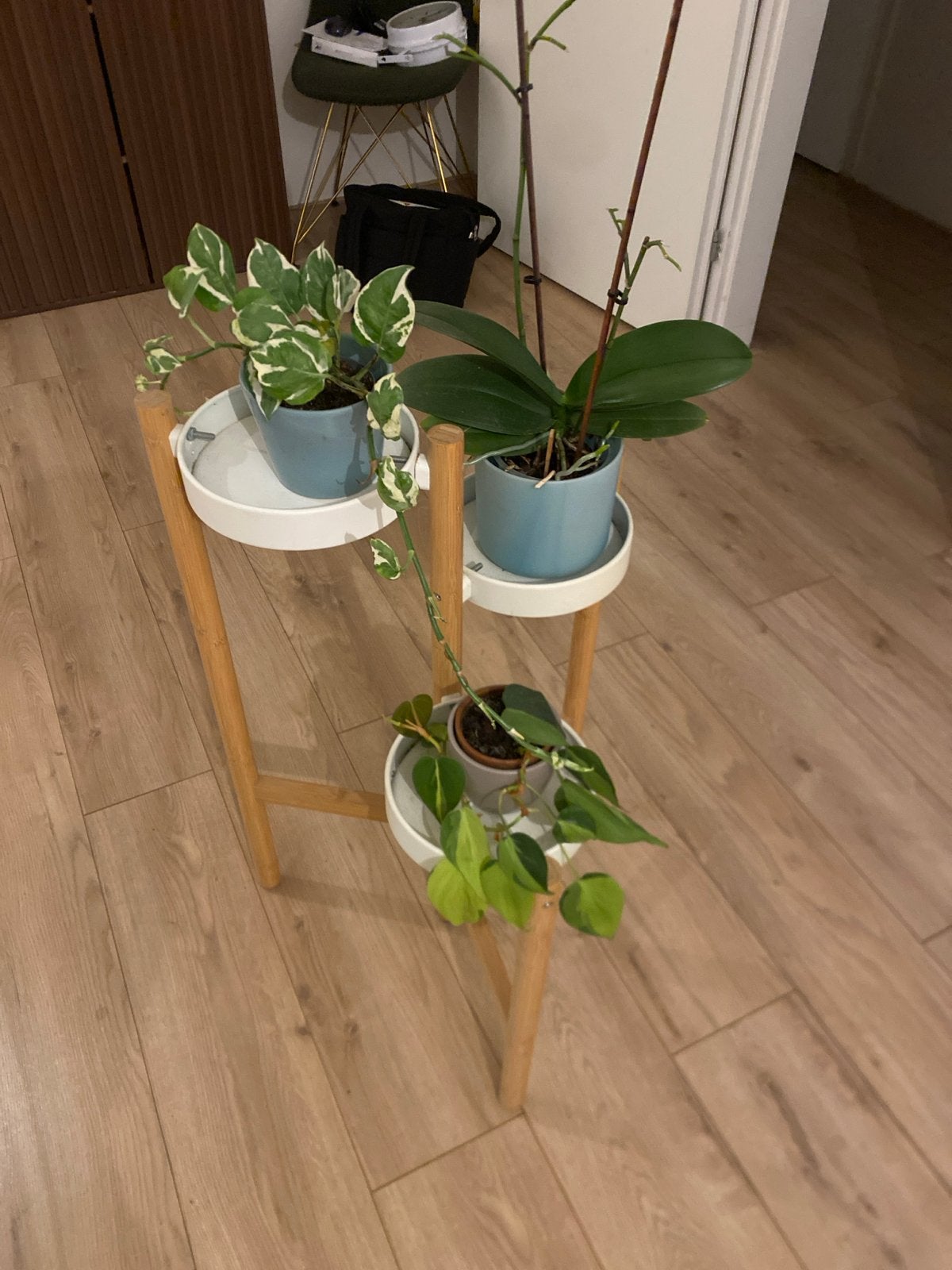 Houten plantenrek met 3 niveaus, Ophalen, Hout, Zo goed als nieuw, Modern