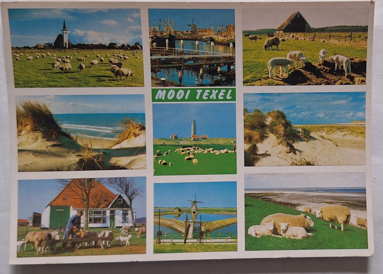 Mooie ansichtkaart Texel met diverse beelden (1981), Verzamelen, Ophalen of Verzenden, 1980 tot heden, Gelopen, Waddeneilanden