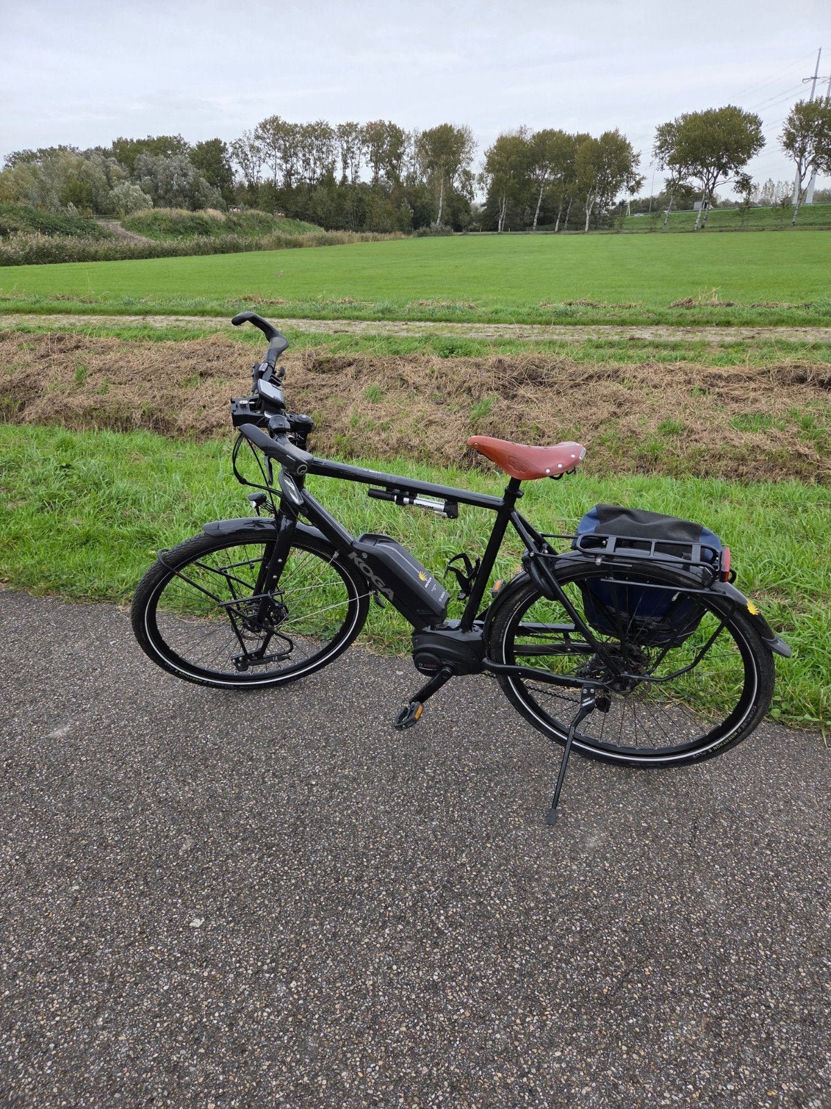 Koga Worldtraveller E-bike met Bosch Performance Line, 59 cm of meer, Ophalen, Gebruikt, Overige merken