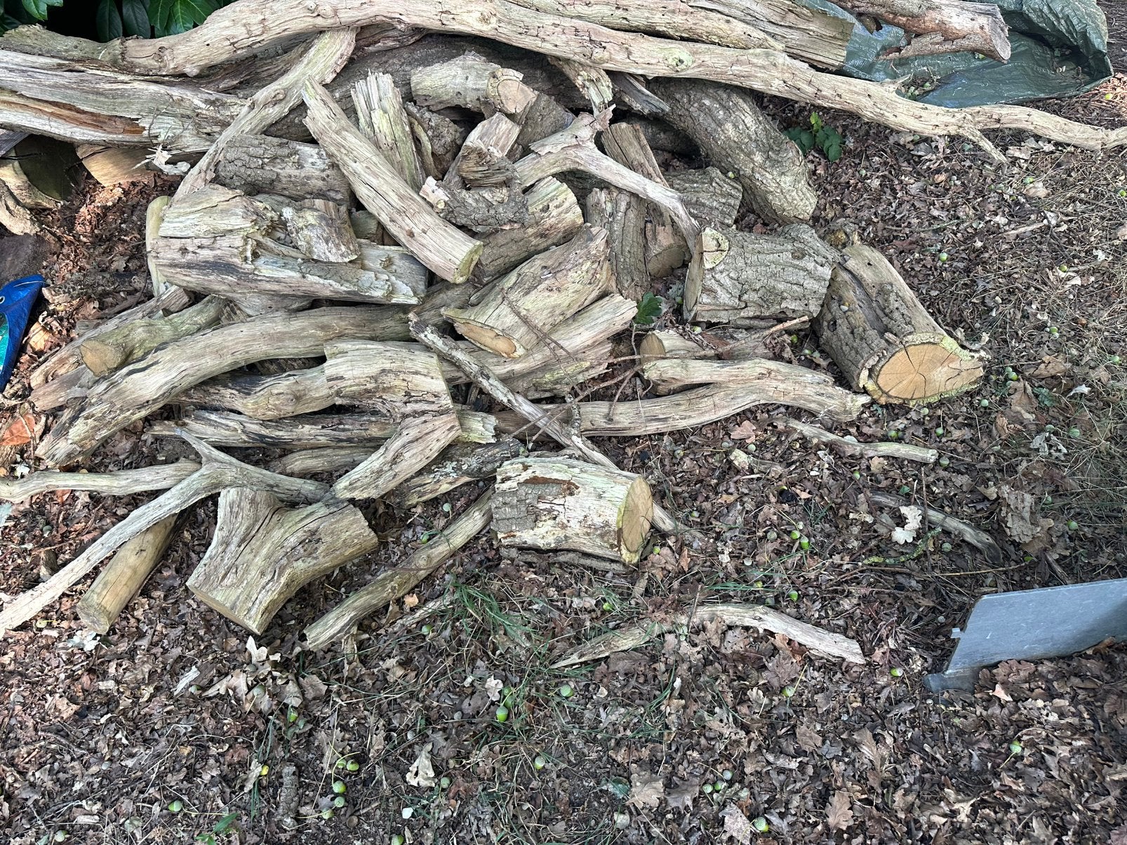 Eiken haardhout, Tuin en Terras, Haardhout, Minder dan 3 m³, Ophalen