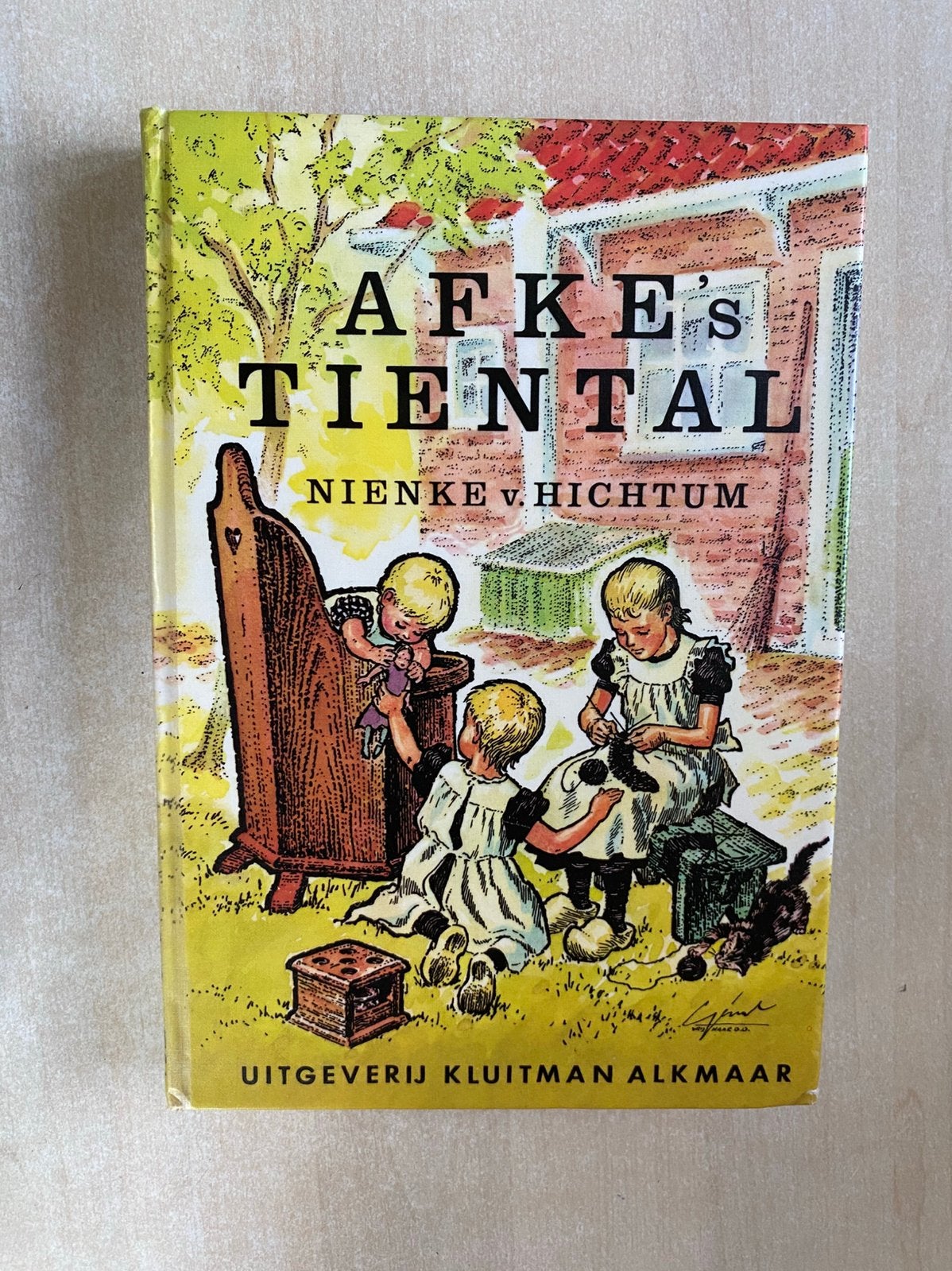 Afke’s tiental (Nienke van Hichtum), Ophalen of Verzenden, Gelezen