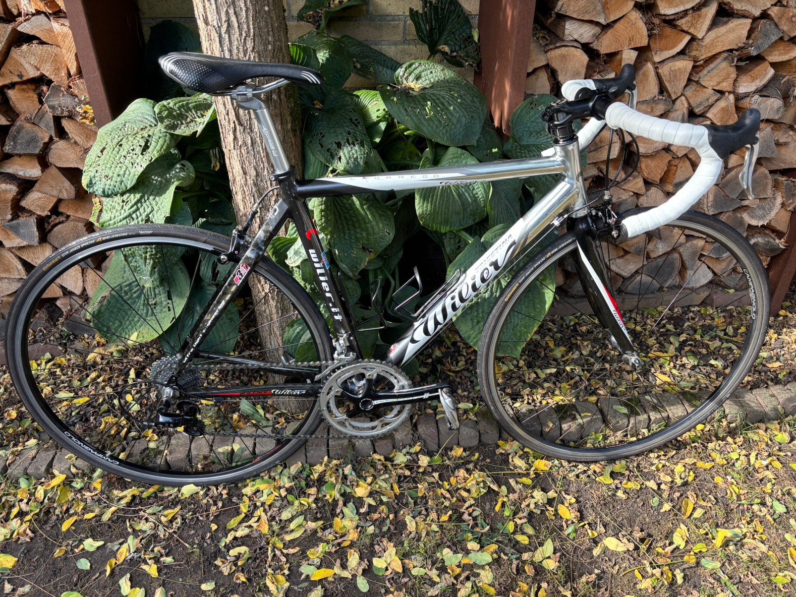 Willier Lavaredo ultra light maat 53 Campagnolo, Fietsen en Brommers, Overige merken, Gebruikt, Carbon, Ophalen of Verzenden