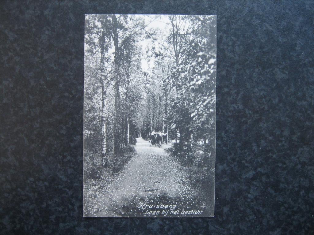 DOETINCHEM Laan bij gesticht Kruisberg, Ophalen of Verzenden, Voor 1920, Gelderland