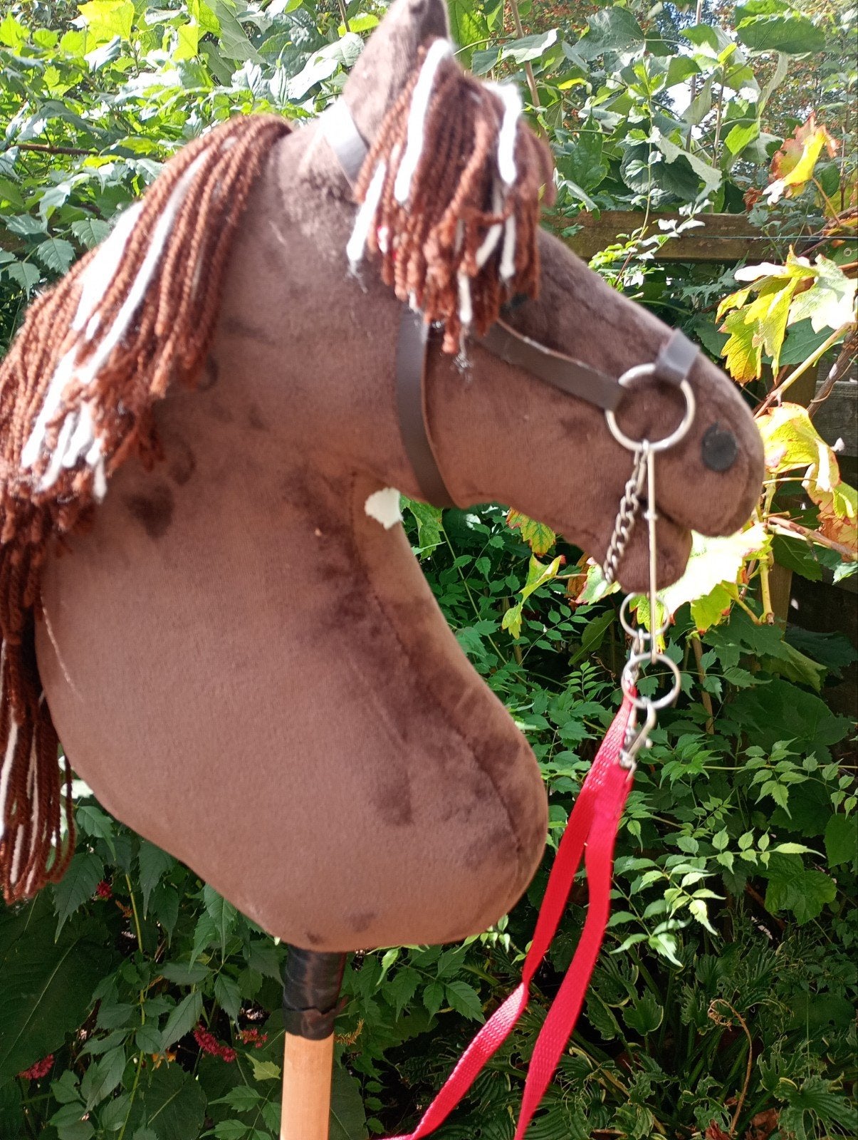 mooie gevlekte hobbyhorse met bonte manen, Ophalen of Verzenden