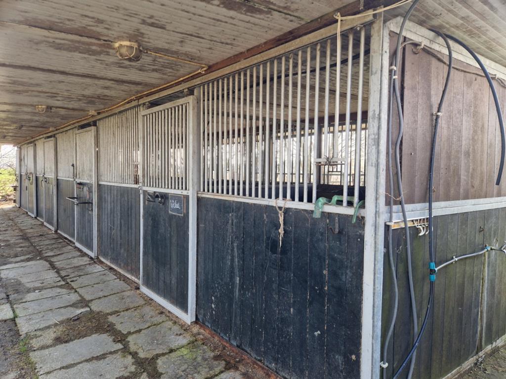 5 paarden stallen (10 voorwanden, 6 tussenwanden) incl dak, Dieren en Toebehoren, Stalling en Weidegang, Weidegang, 4 paarden of pony's of meer