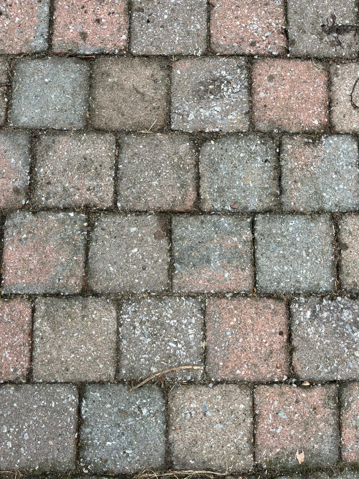 Tegels vierkant GRATIS ophalen, Tuin en Terras, Tegels en Klinkers, Ophalen, Zo goed als nieuw, Beton, Terrastegels
